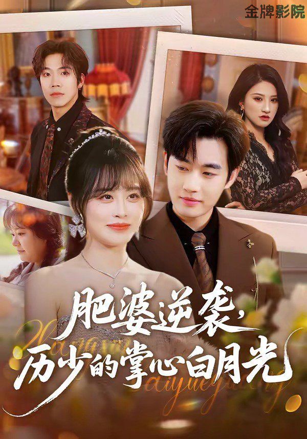 肥婆逆袭，历少的掌心白月光