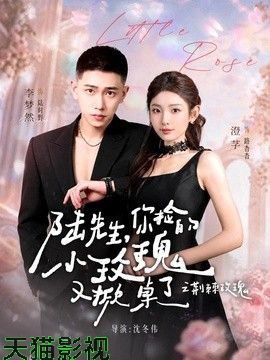 陆先生，你捡的小玫瑰又掀桌了之荆棘玫瑰（太子爷的小玫瑰又掀桌了）