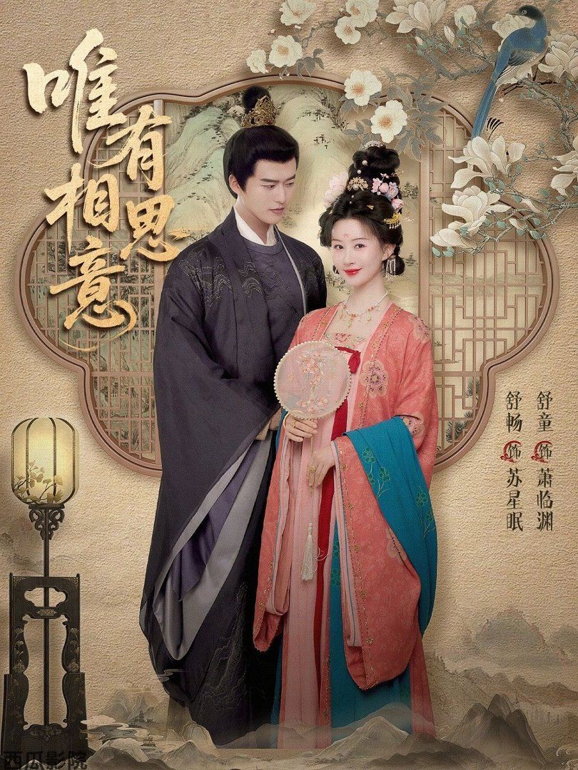 唯有相思意