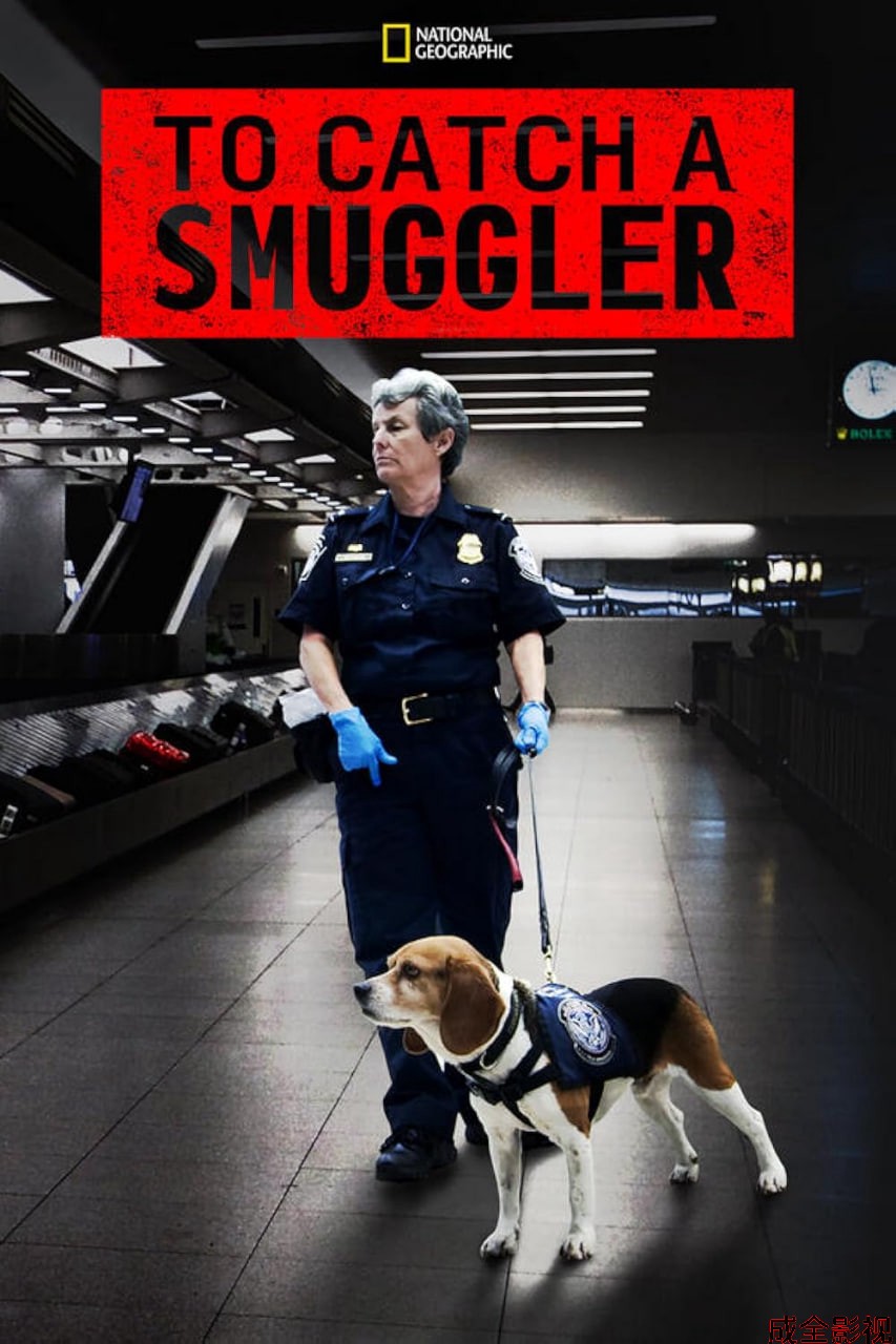 走私追缉令 第一季