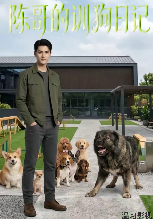 陈哥的训狗日记